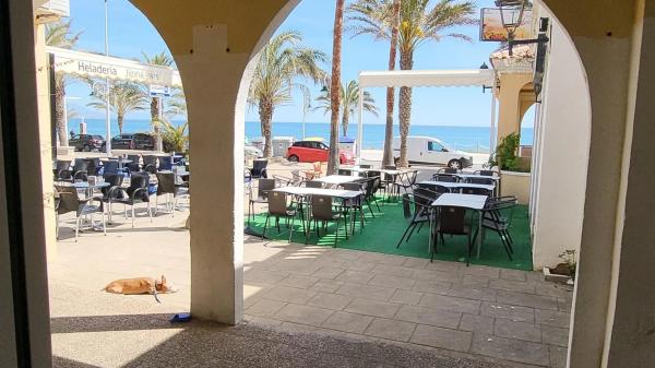 Local en Arenales del Sol photo 1