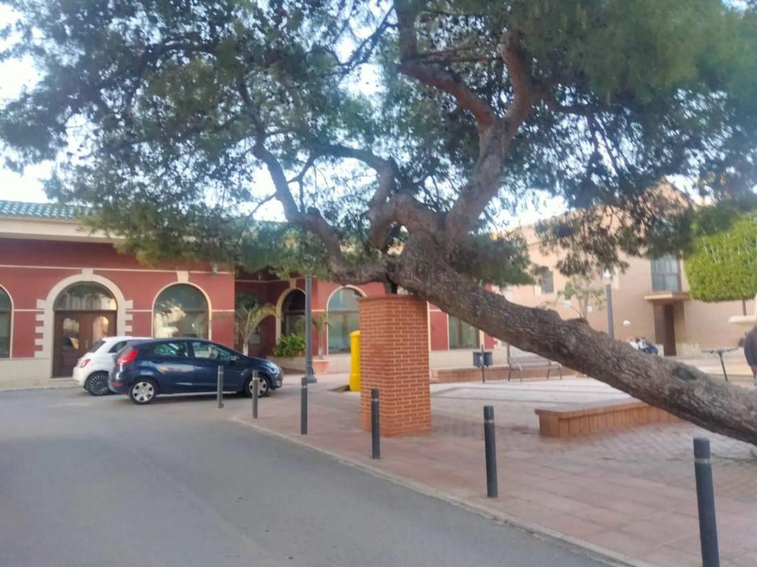 Propiedades en venta y alquiler en España photo 1