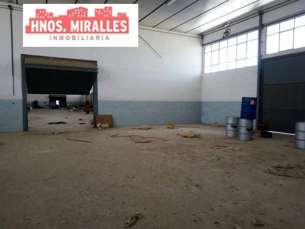 Properties for sale and rent in Spain photo 3