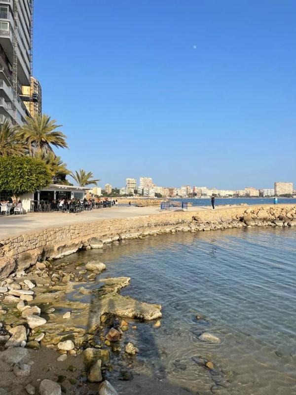 Properties for sale and rent in Spain photo 5