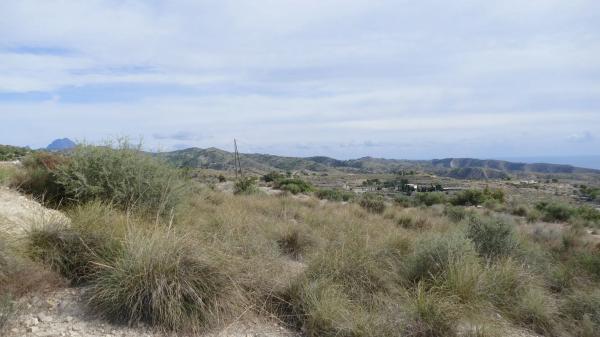Local en carretera Aguas s/n Km 6 thumbnail 2