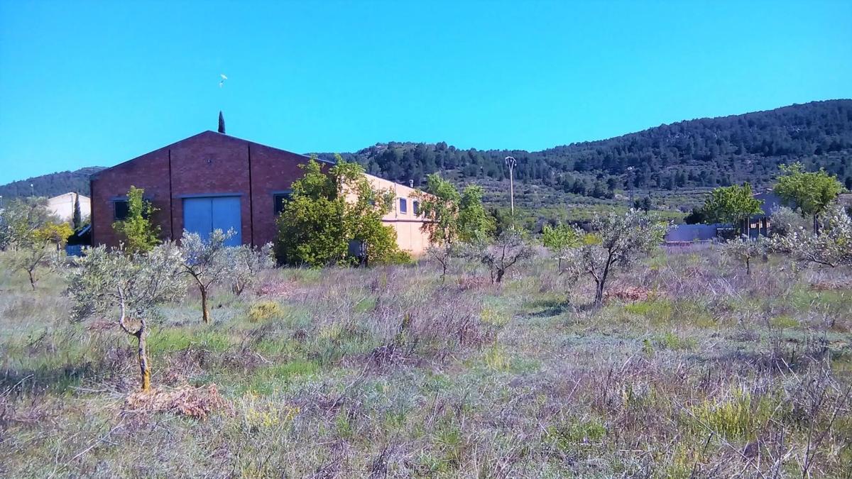Propiedades en venta y alquiler en España photo 3