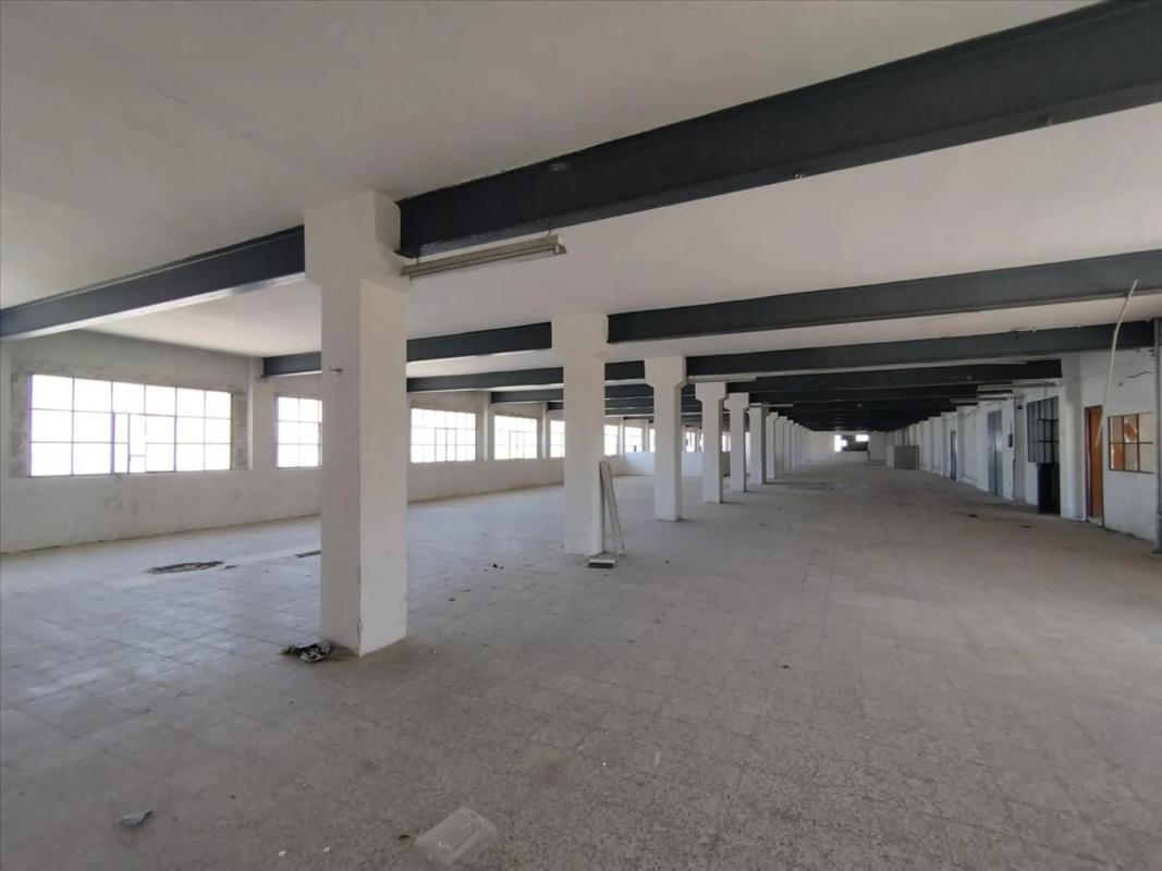 Properties for sale and rent in Spain photo 5