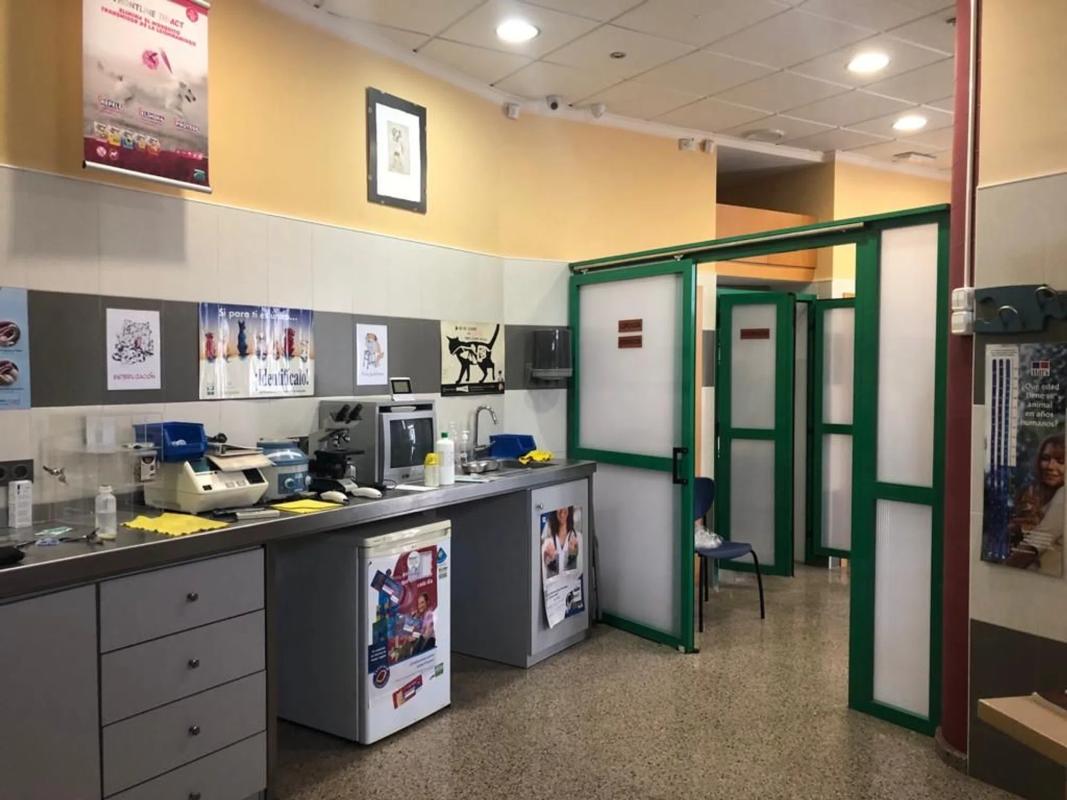 Propiedades en venta y alquiler en España photo 3