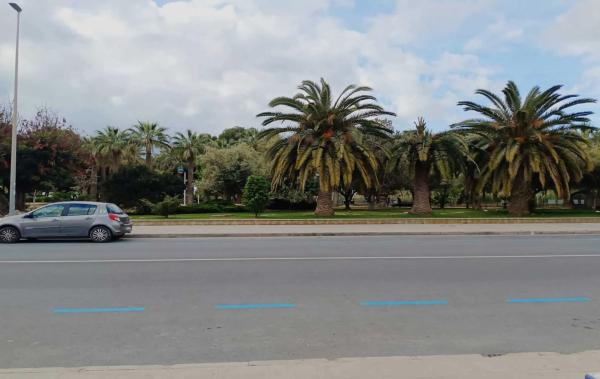 Local en Pinar de Advocat-Cometa photo 4