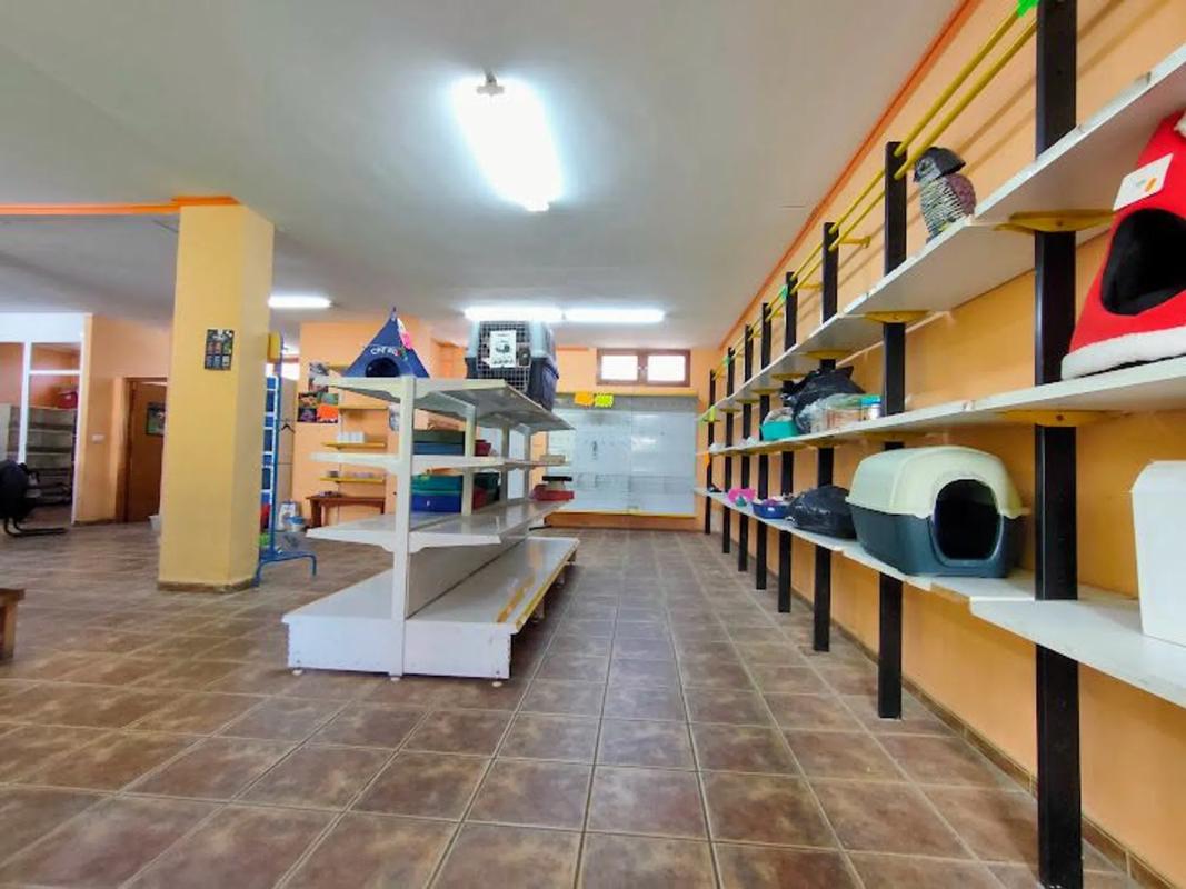 Properties for sale and rent in Spain photo 4