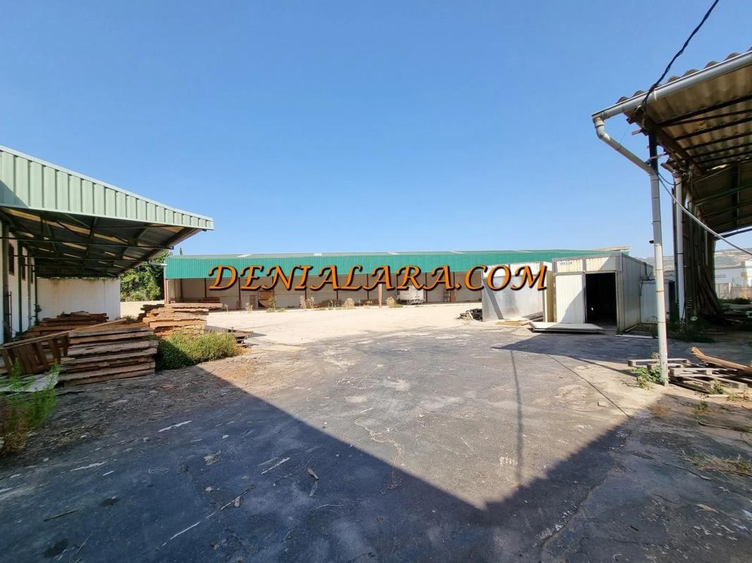 Properties for sale and rent in Spain photo 2