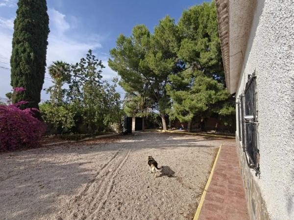 Casa rural en via Calles s photo 3