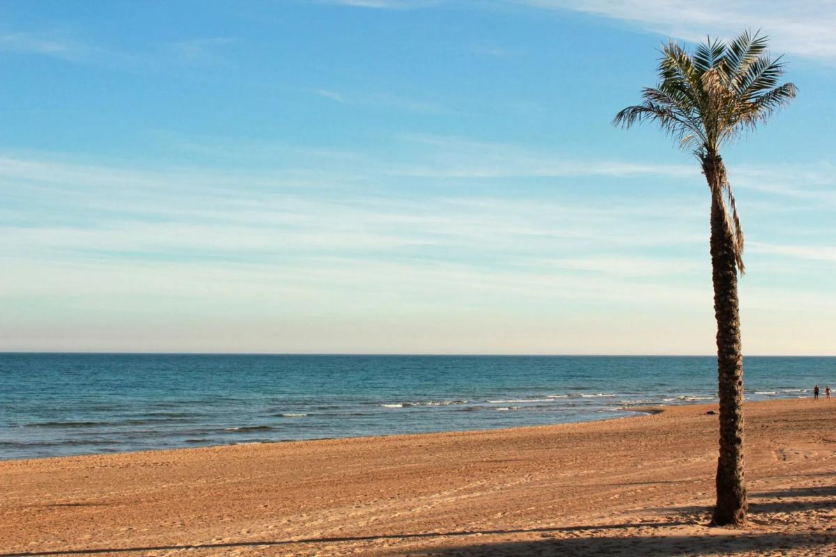 Venta de piso en Guardamar Playa, Guardamar del Segura
 photo 3