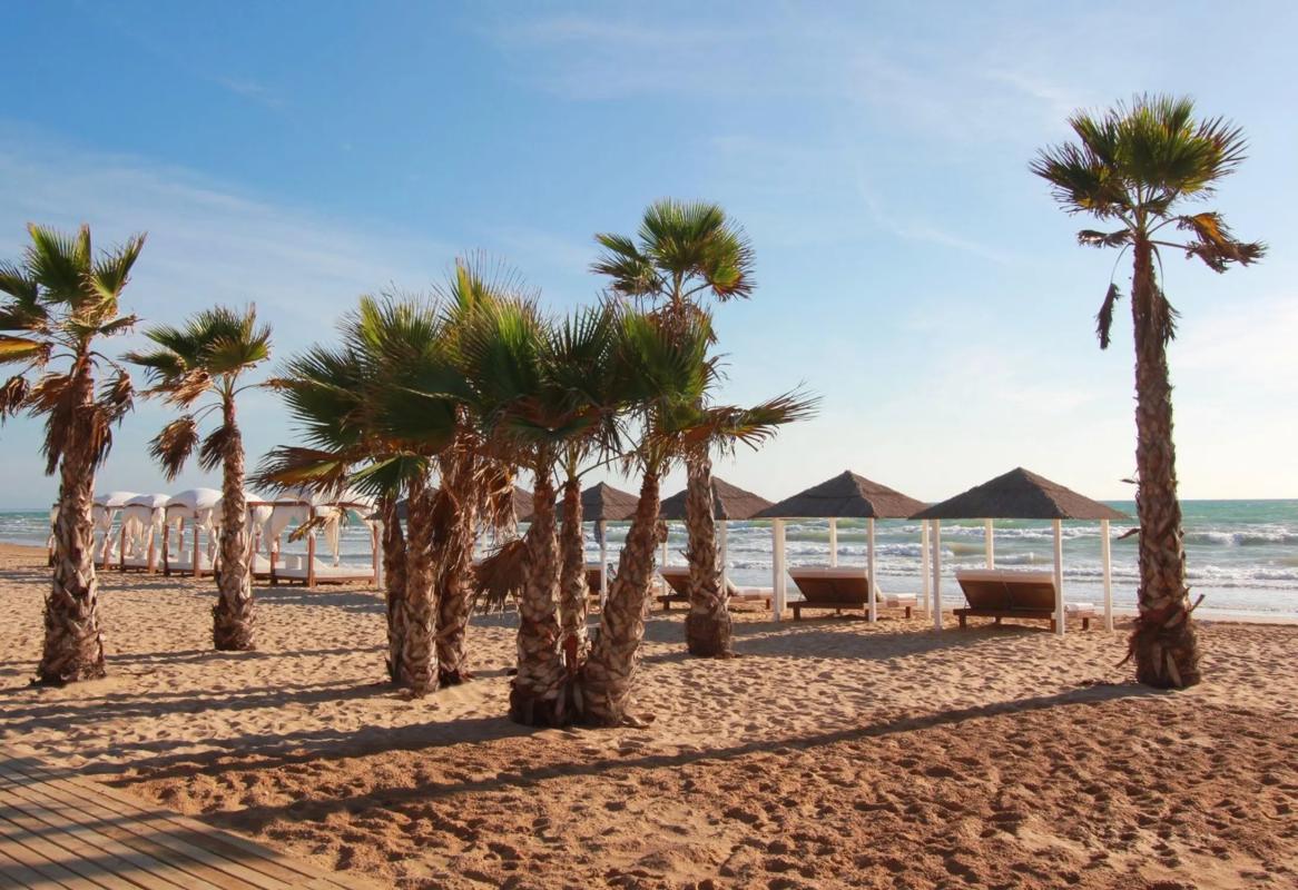 Venta de piso en Guardamar Playa, Guardamar del Segura
 photo 4