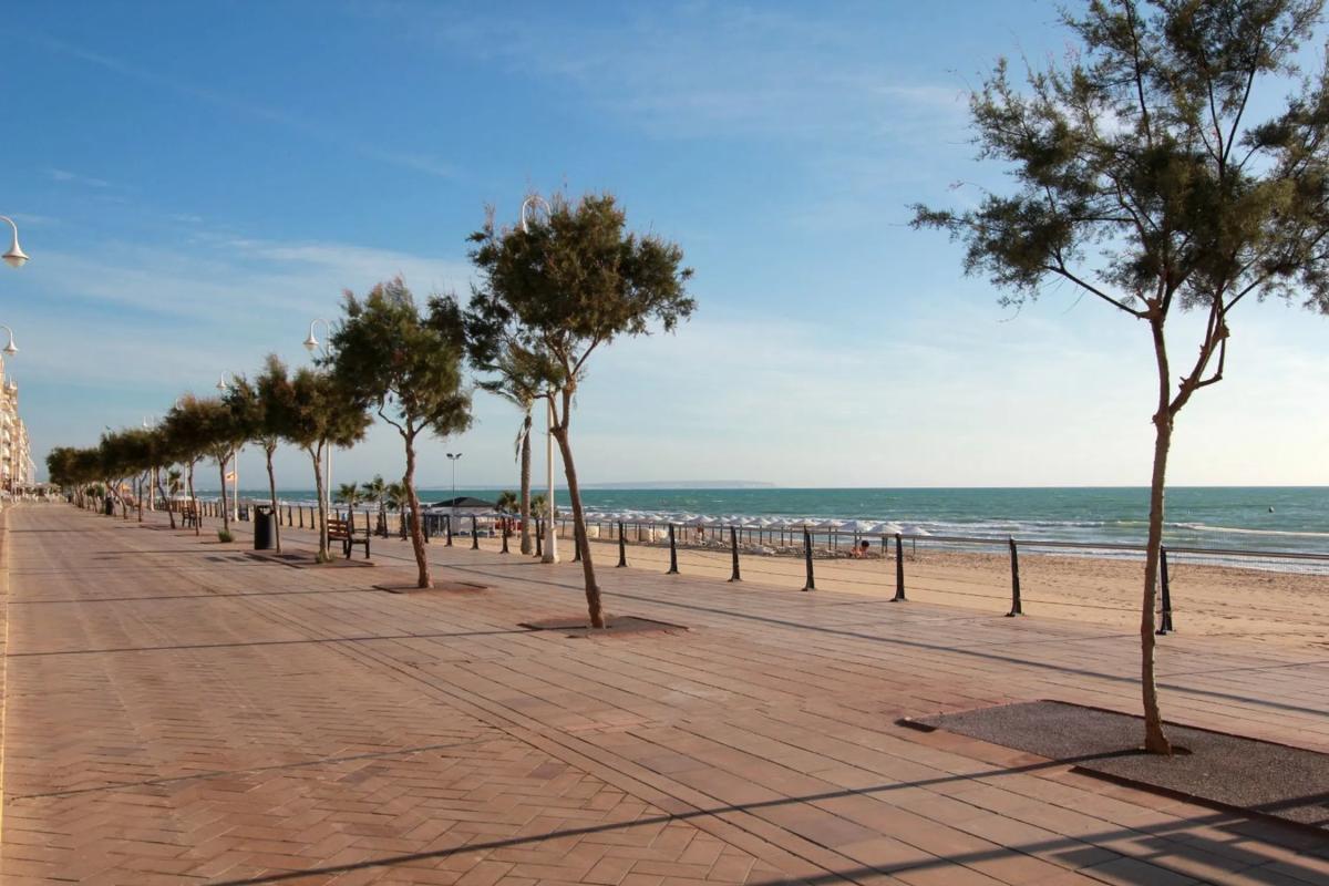 Venta de piso en Guardamar Playa, Guardamar del Segura
 photo 5