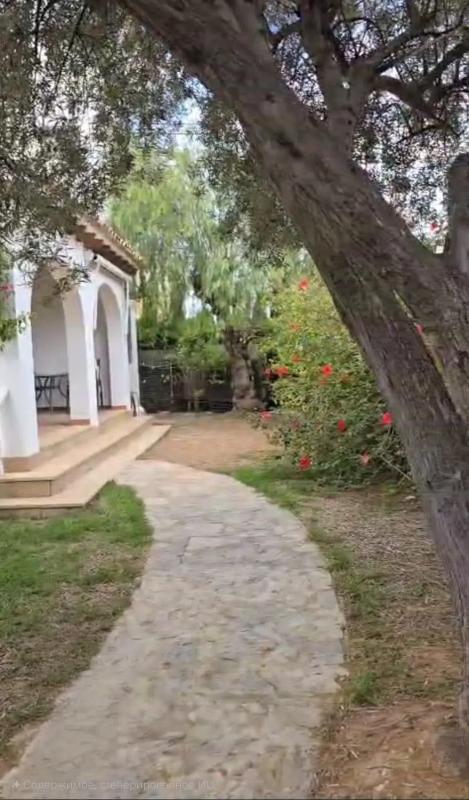 Properties for sale and rent in Spain photo 3