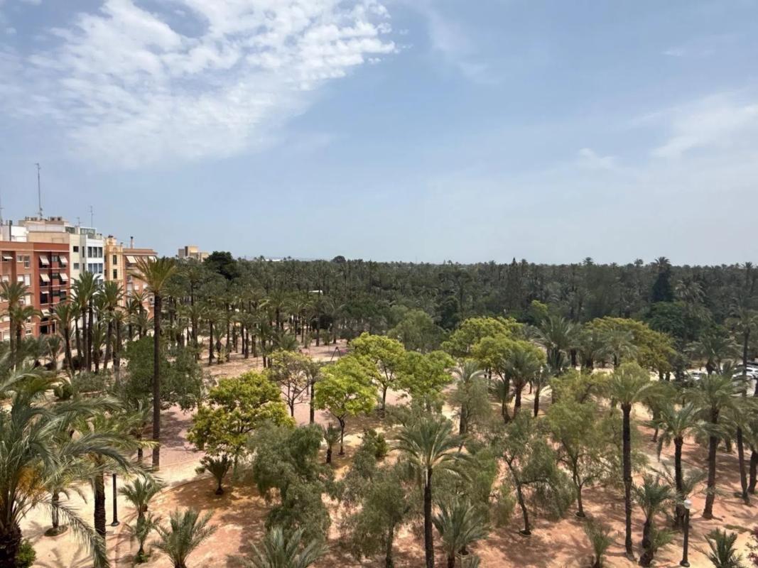 Venta de piso en Barrio Centro, Elche / Elx
photo 1