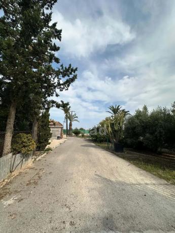 Independent chalet for sale in Valverde, Elche / Elx photo 1
