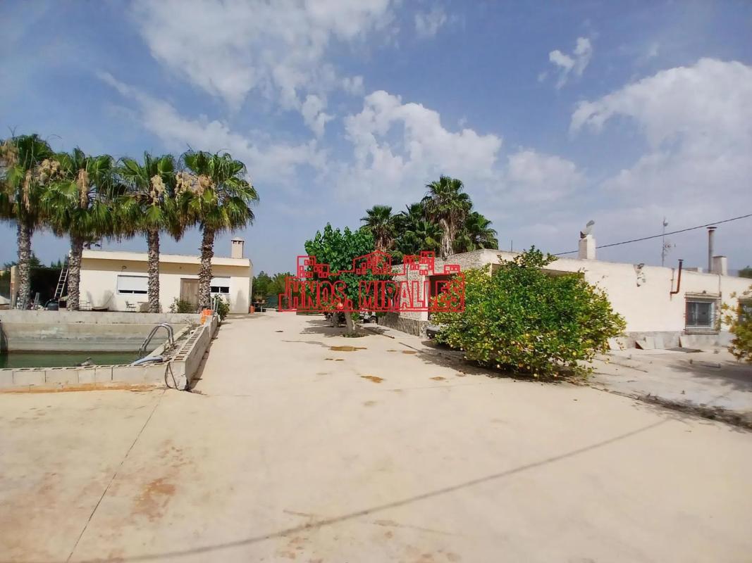 Properties for sale and rent in Spain photo 2