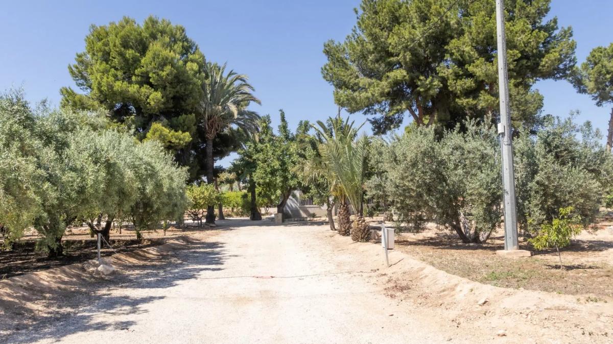 Propiedades en venta y alquiler en España photo 5