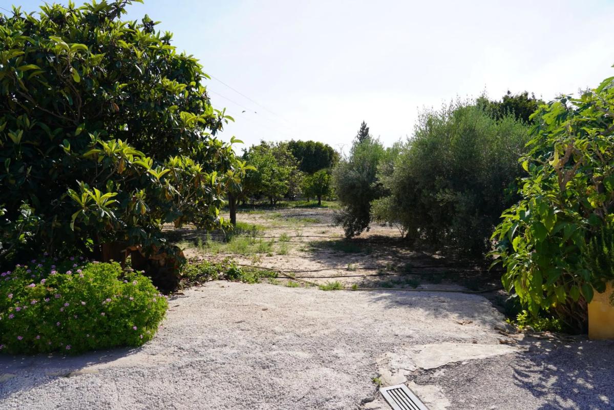 Properties for sale and rent in Spain photo 3