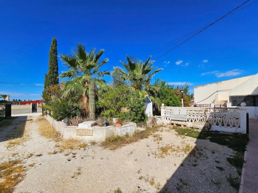 Properties for sale and rent in Spain photo 4