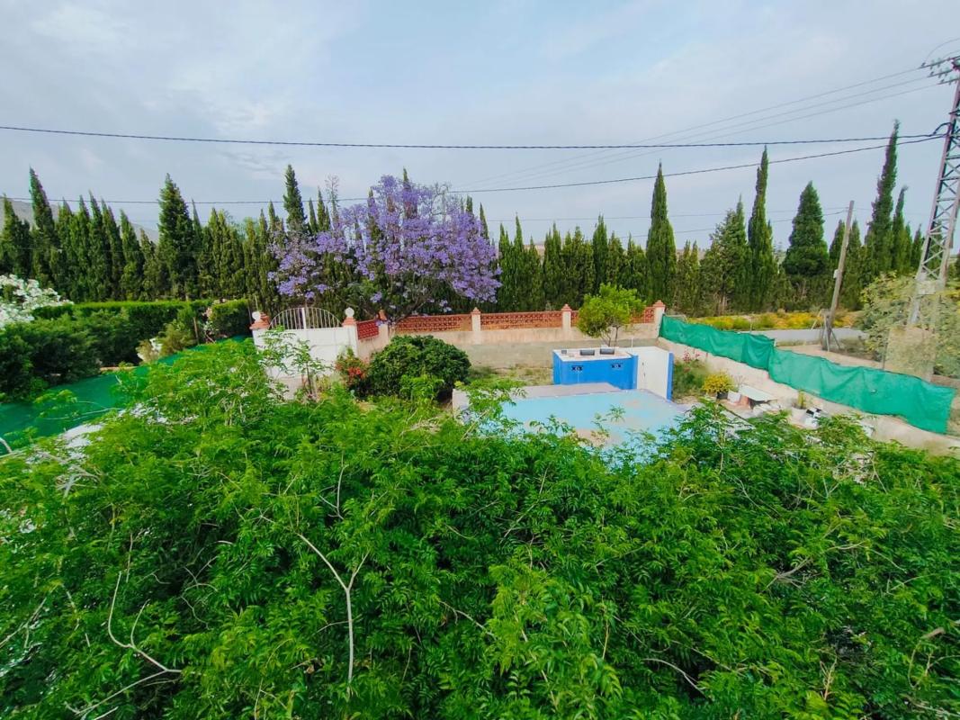 Недвижимость на продажу и в аренду в Испании photo 5