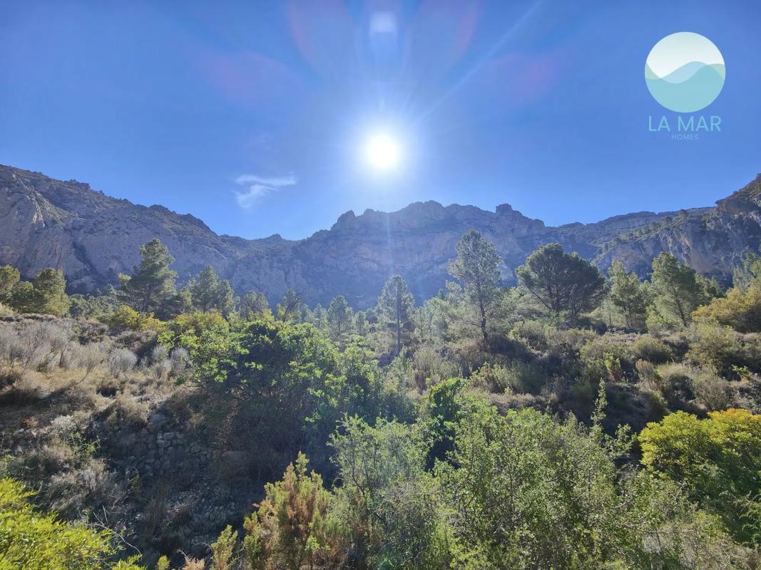 Properties for sale and rent in Spain photo 4