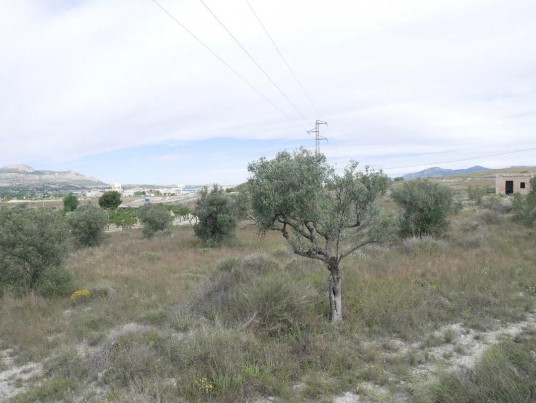 Działka na sprzedaż w Saks, Alicante photo 4