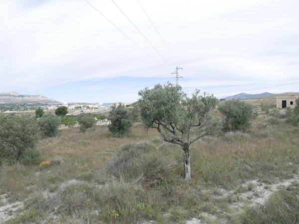 Terreno en Sax photo 4