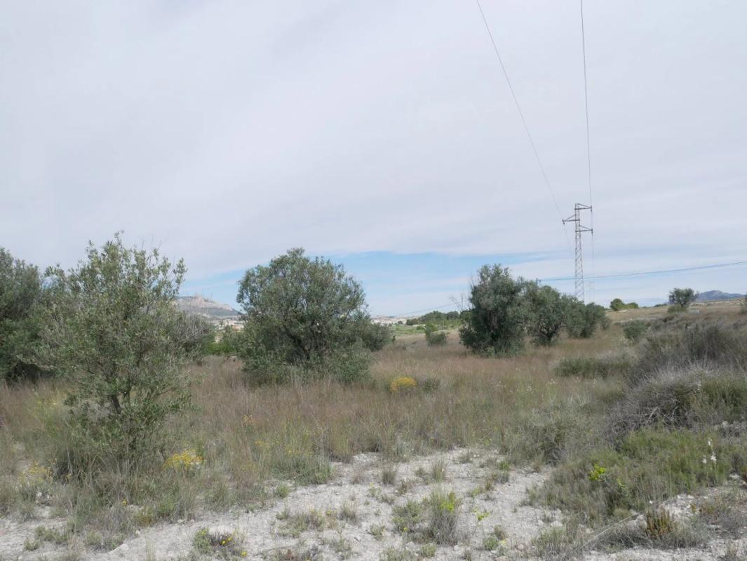 Działka na sprzedaż w Saks, Alicante photo 5