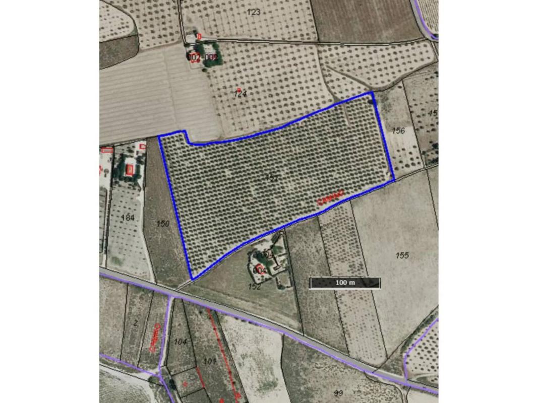 Land for sale in Salinas, Alicante photo 1