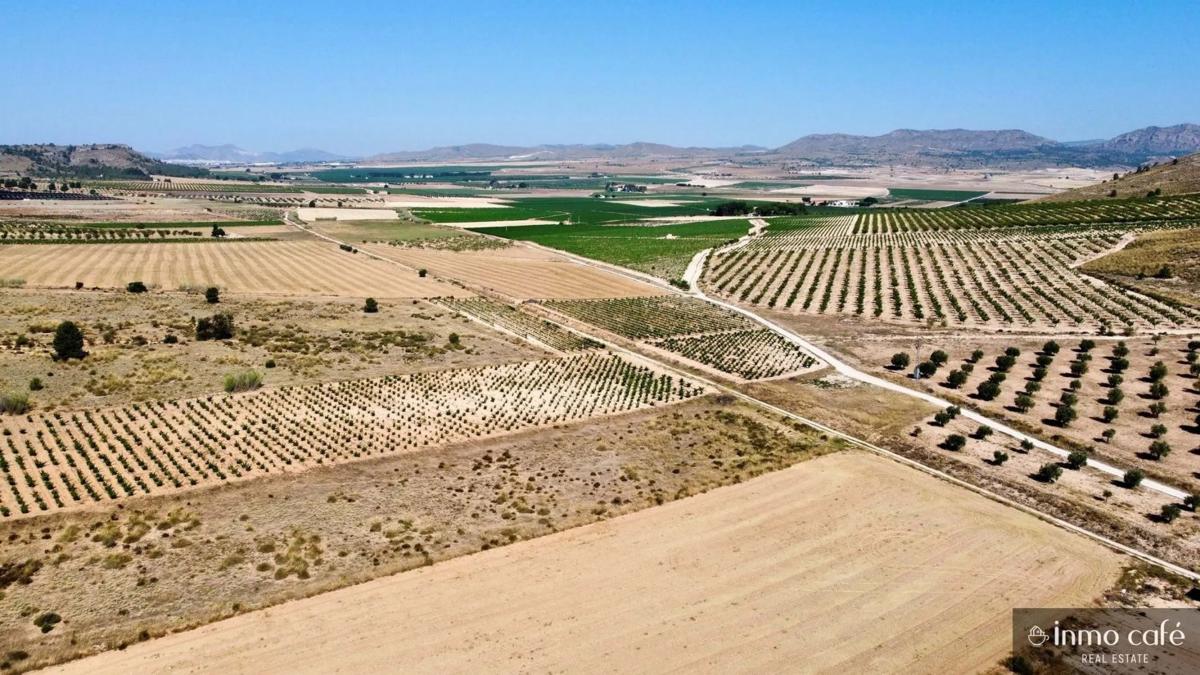 Land for sale in Villena, Alicante photo 2