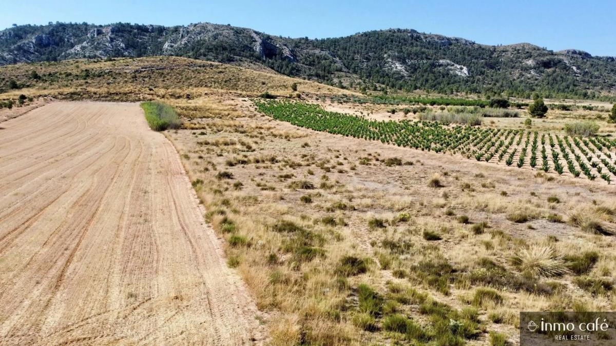 Land for sale in Villena, Alicante photo 3