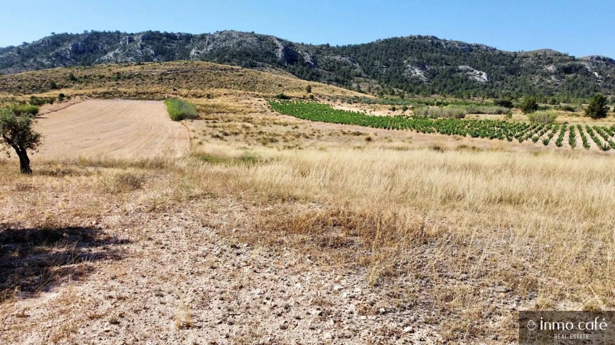 Land for sale in Villena, Alicante photo 4