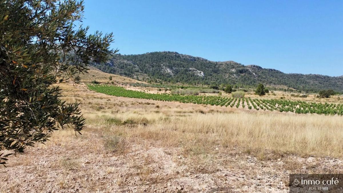 Land for sale in Villena, Alicante photo 5
