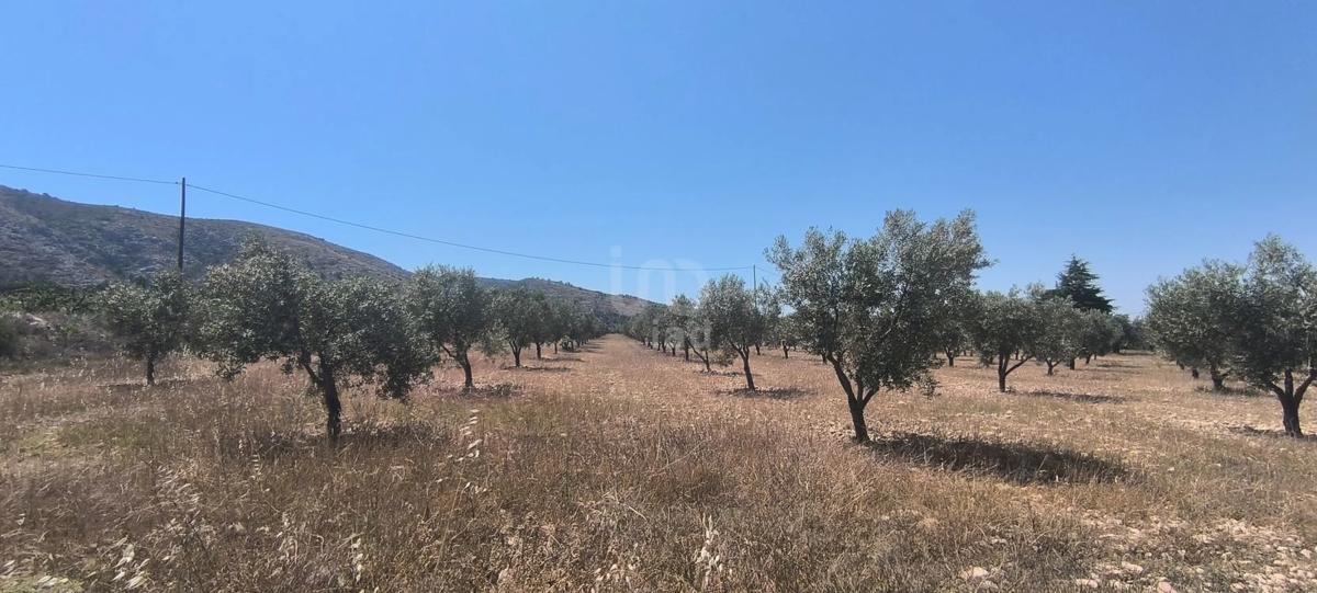 Terreno en venta en Sax, Alicante photo 1