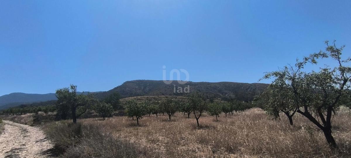 Działka na sprzedaż w Saks, Alicante photo 2