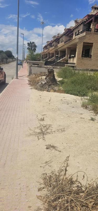 Terreno en venta en Bigastro, Alicante photo 4