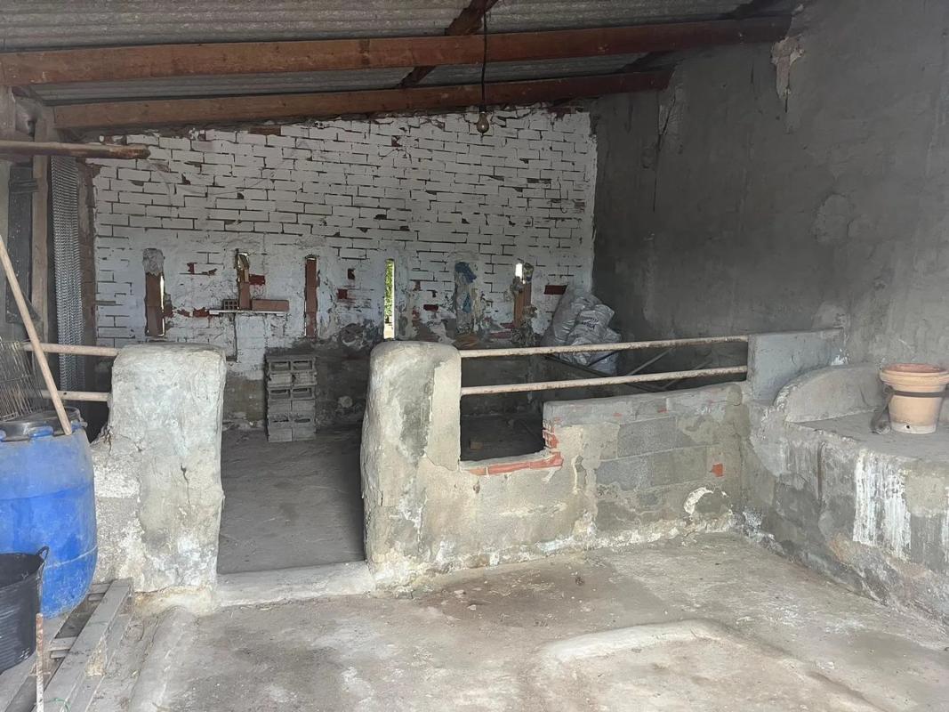Land for sale in Catral, Alicante photo 4