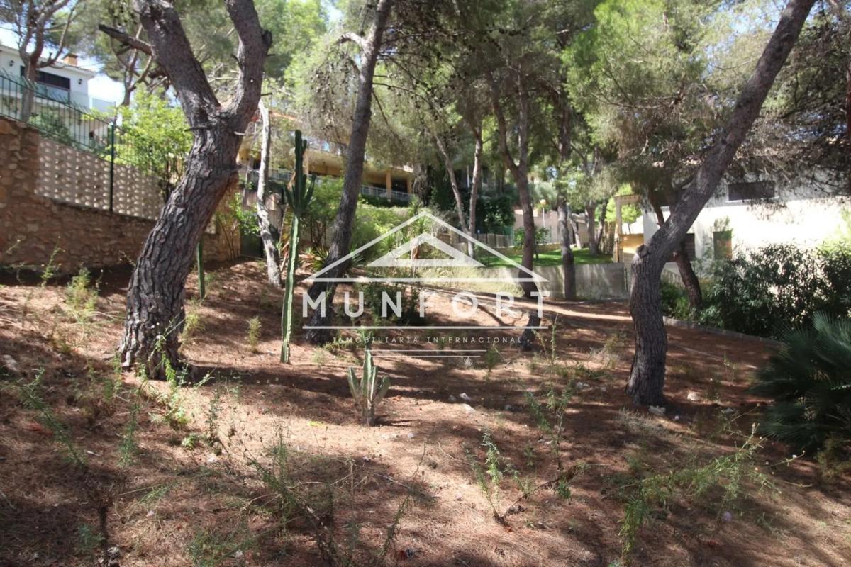 Land for sale in Orihuela, Alicante photo 3