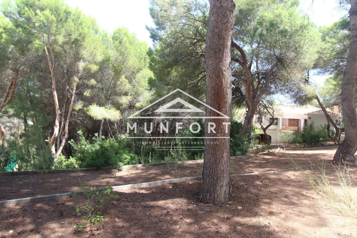 Land for sale in Orihuela, Alicante photo 4