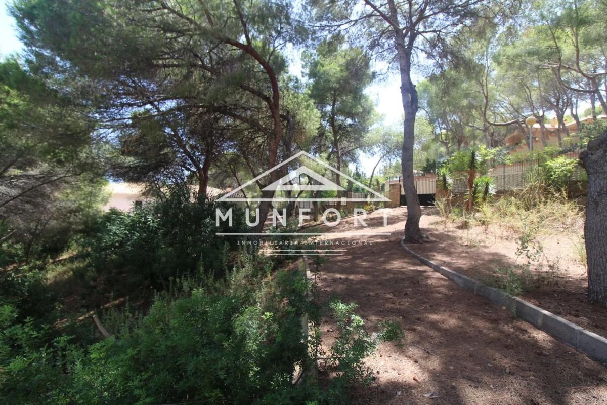 Land for sale in Orihuela, Alicante photo 5