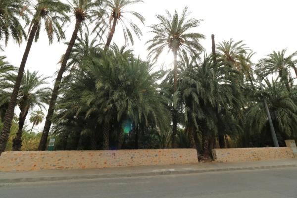Terreno en Orihuela Ciudad photo 4