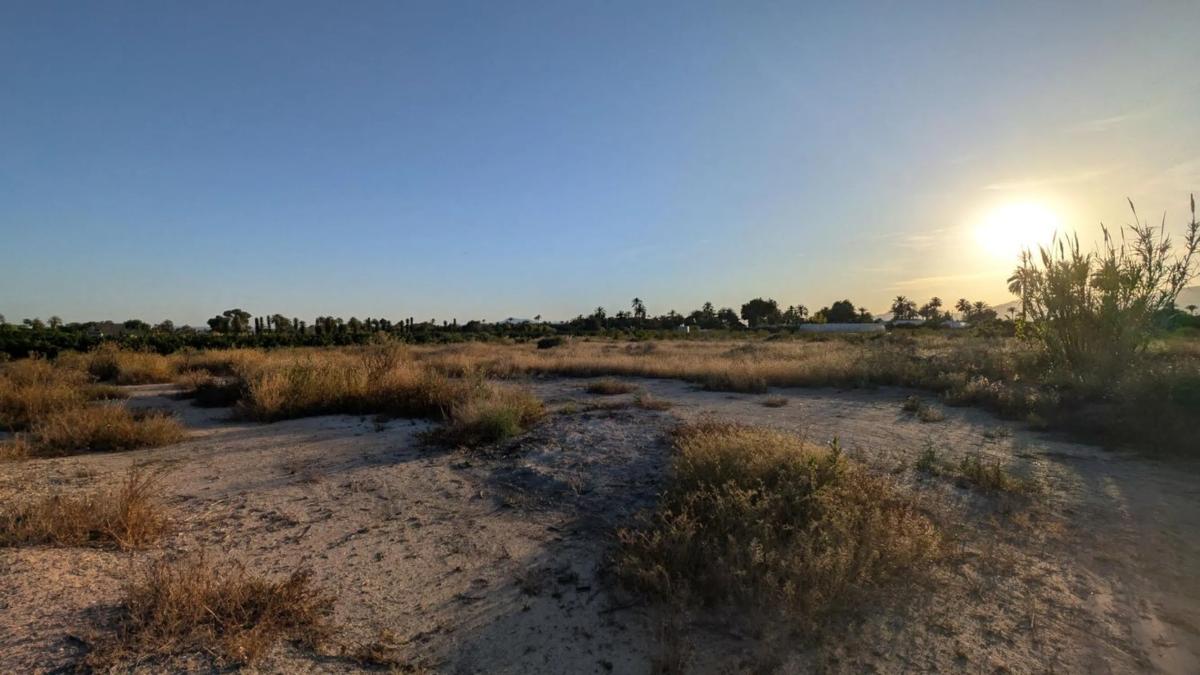 Land for sale in Elche / Elx, Alicante photo 3