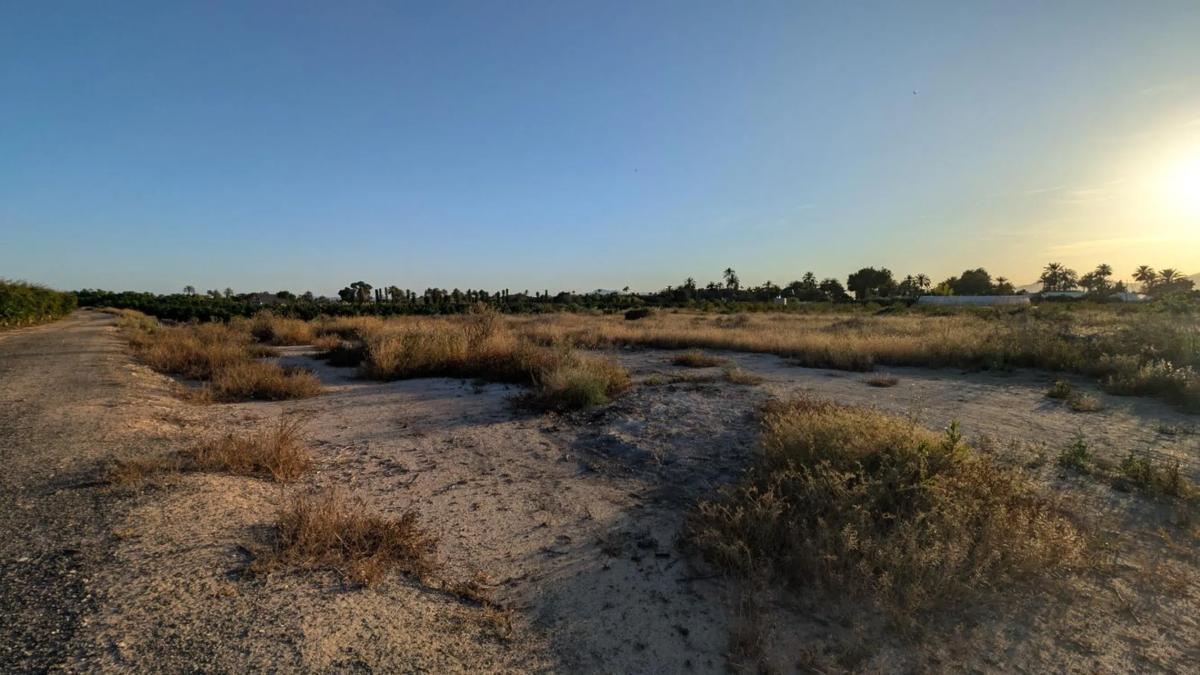 Land for sale in Elche / Elx, Alicante photo 4