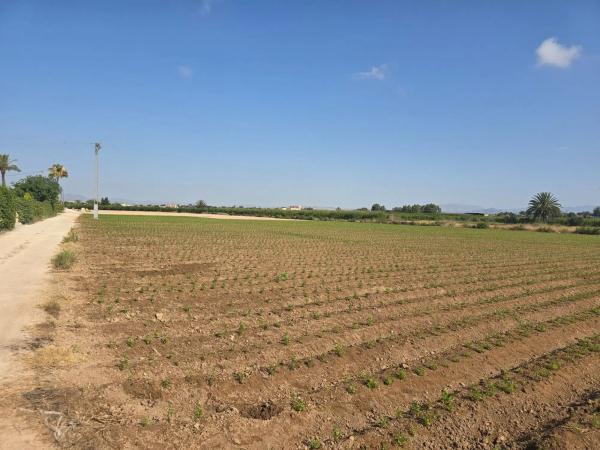 Terreno en via Sense Nom photo 2