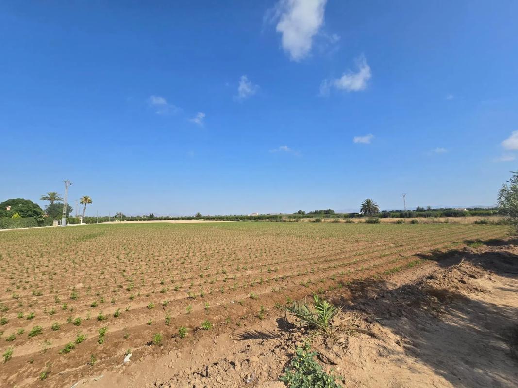 Terreno en venta en Elche / Elx, Alicante photo 4