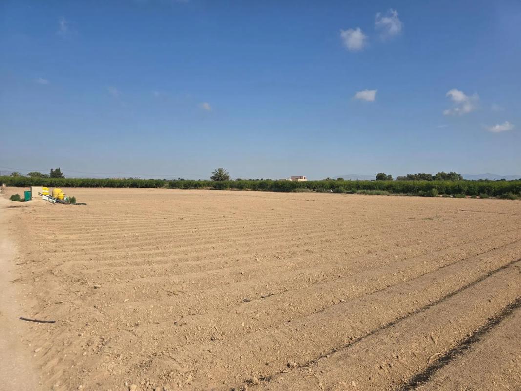 Terreno en venta en Elche / Elx, Alicante photo 5