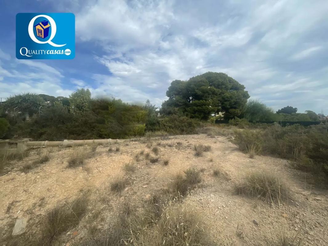 Terreno en venta en Elche / Elx, Alicante photo 1