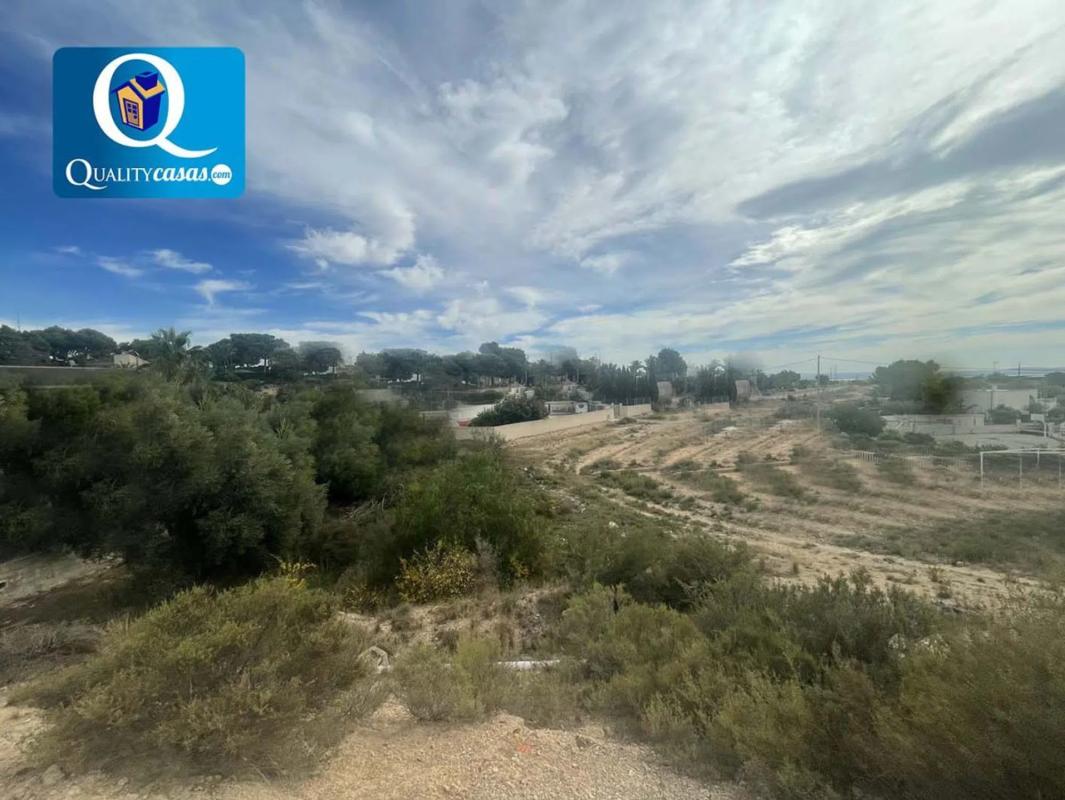 Terreno en venta en Elche / Elx, Alicante photo 2