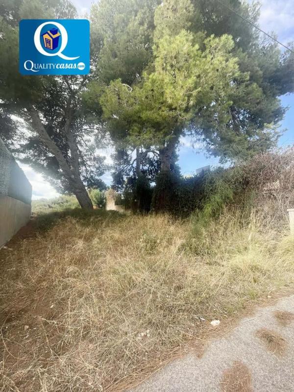 Terreno en venta en Elche / Elx, Alicante photo 3