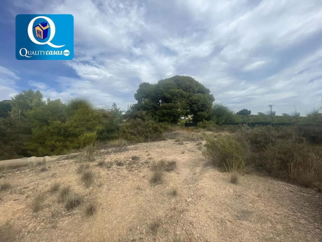 Terreno en venta en Elche / Elx, Alicante photo 4