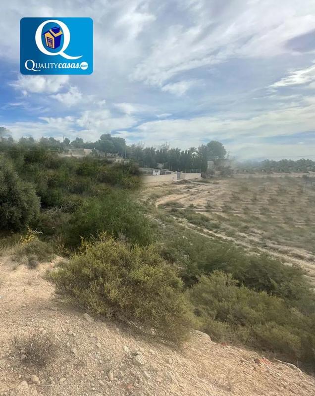 Terreno en venta en Elche / Elx, Alicante photo 5